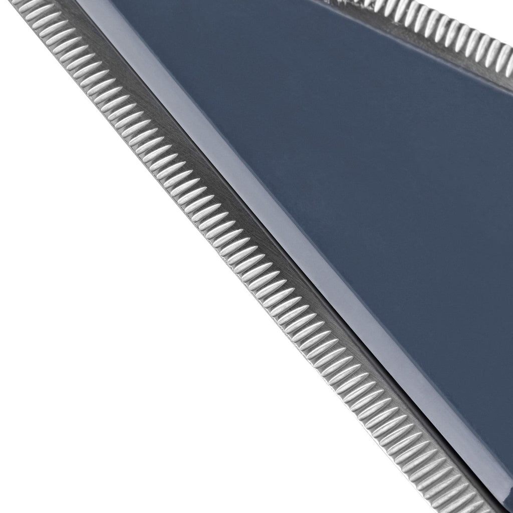 Zyliss Easy slice cake server