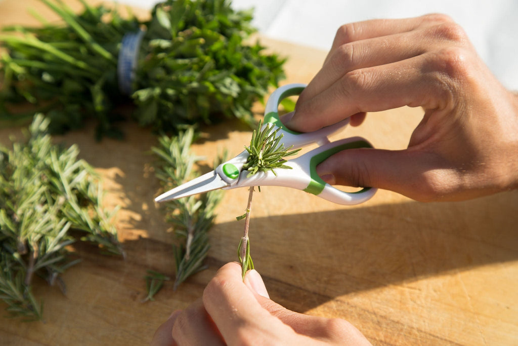 Zyliss Herb gardening scissors