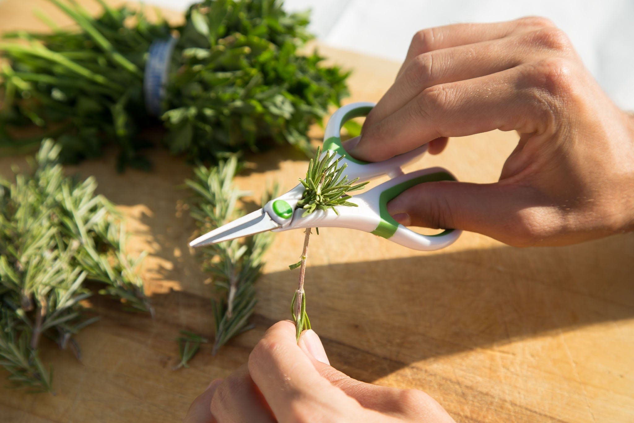 Zyliss Herb gardening scissors